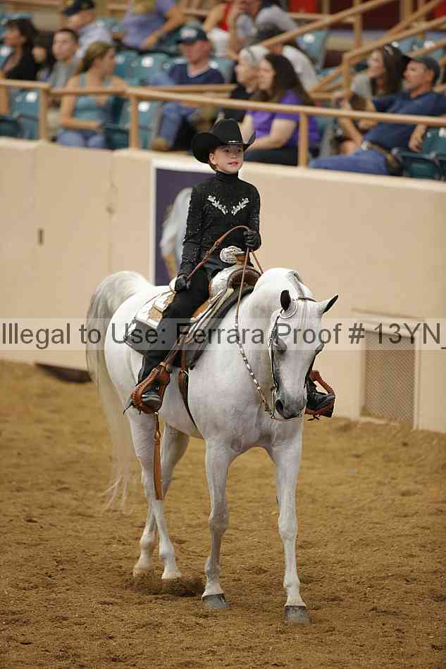 Proof Number 13yn_22058