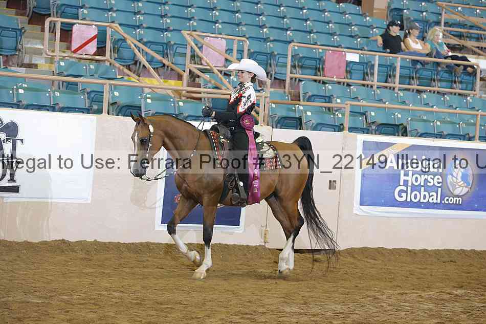 Proof Number 13yn_22149