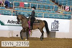 13yn_22159 thumbnail