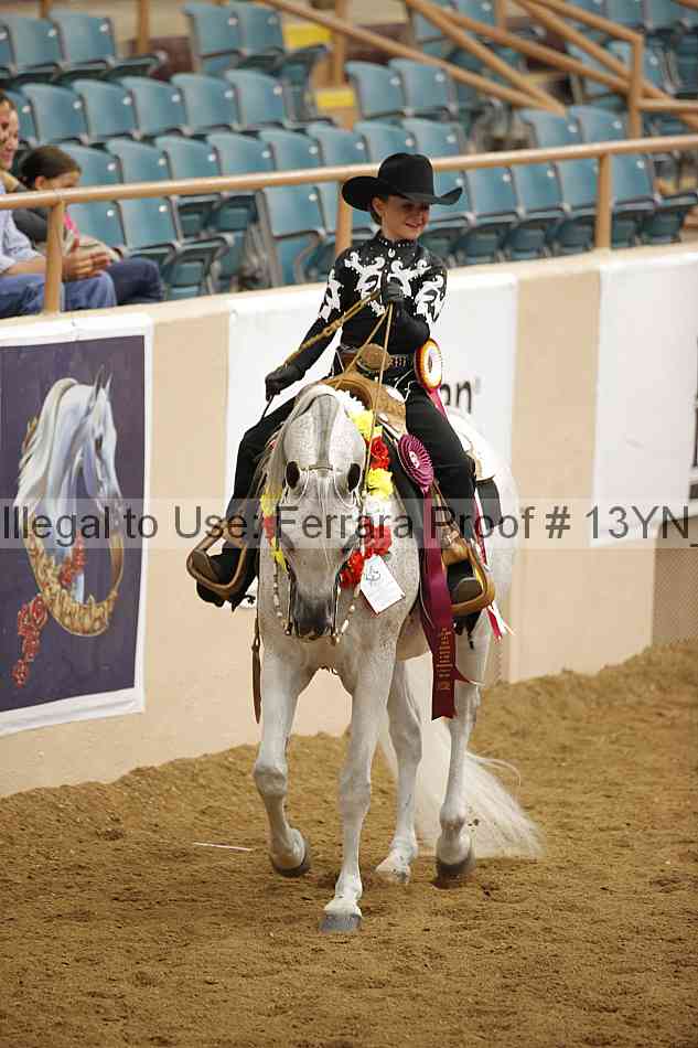 Proof Number 13yn_22201