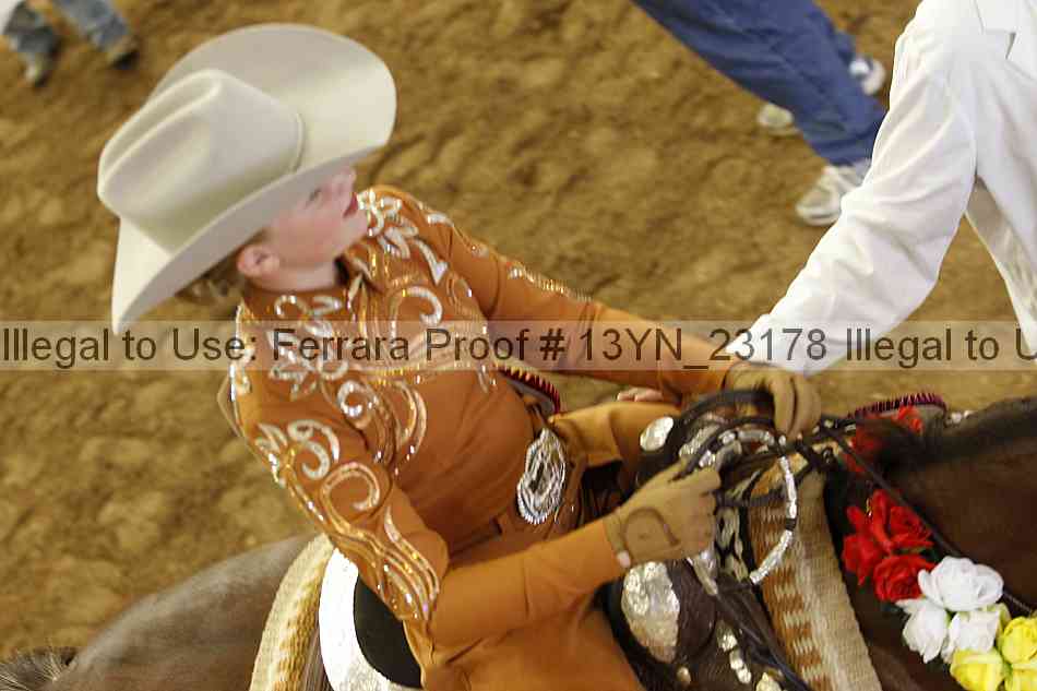 Proof Number 13yn_23178