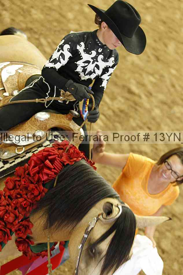 Proof Number 13yn_23182