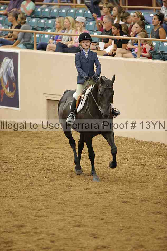 Proof Number 13yn_03765