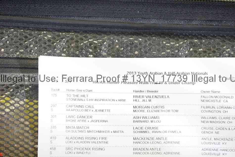 Proof Number 13yn_17739