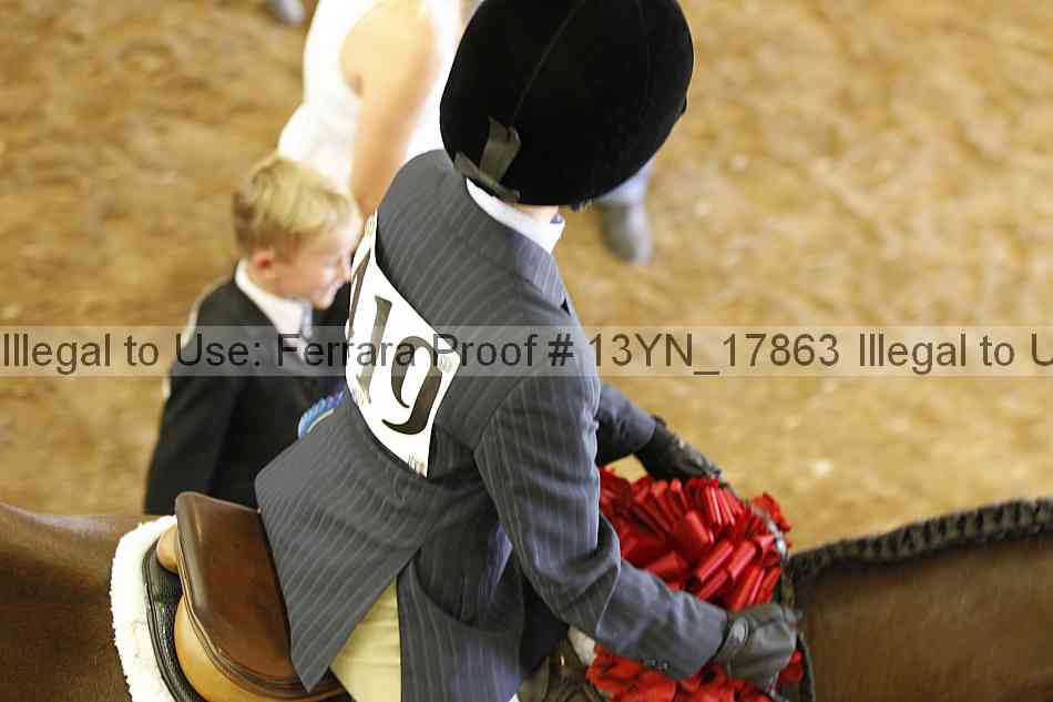 Proof Number 13yn_17863