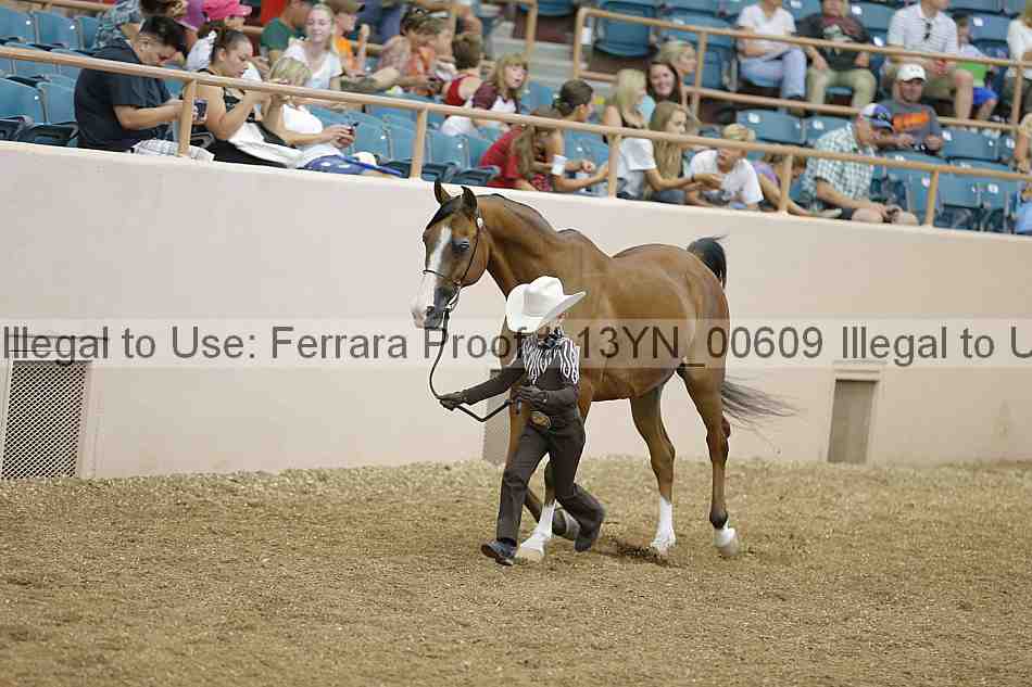 Proof Number 13yn_00609
