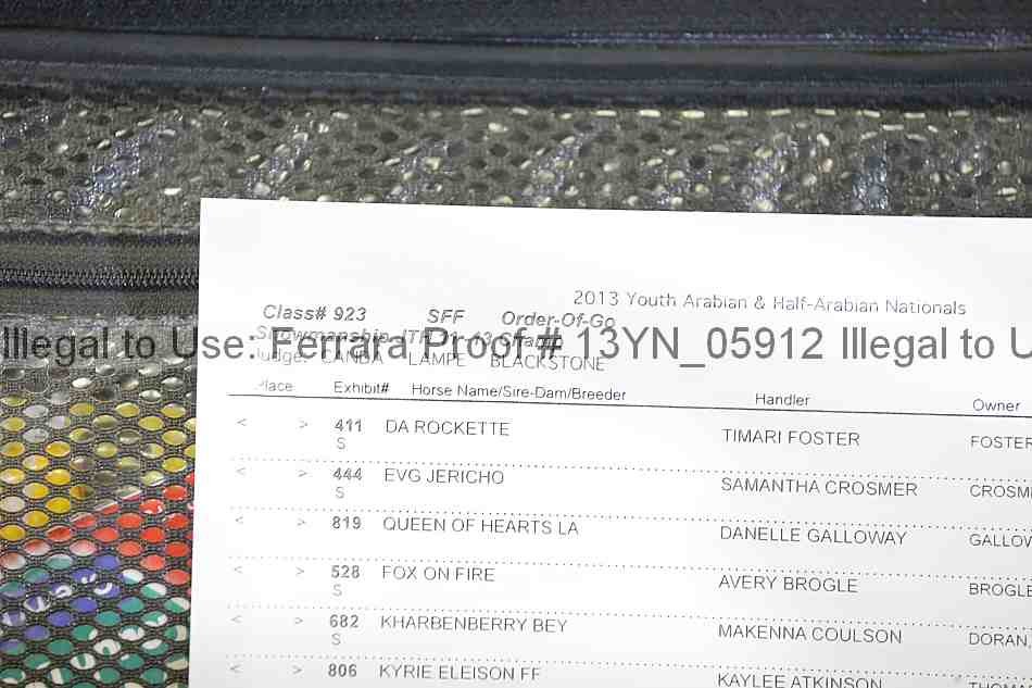 Proof Number 13yn_05912