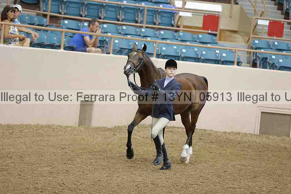 Proof Number 13yn_05913