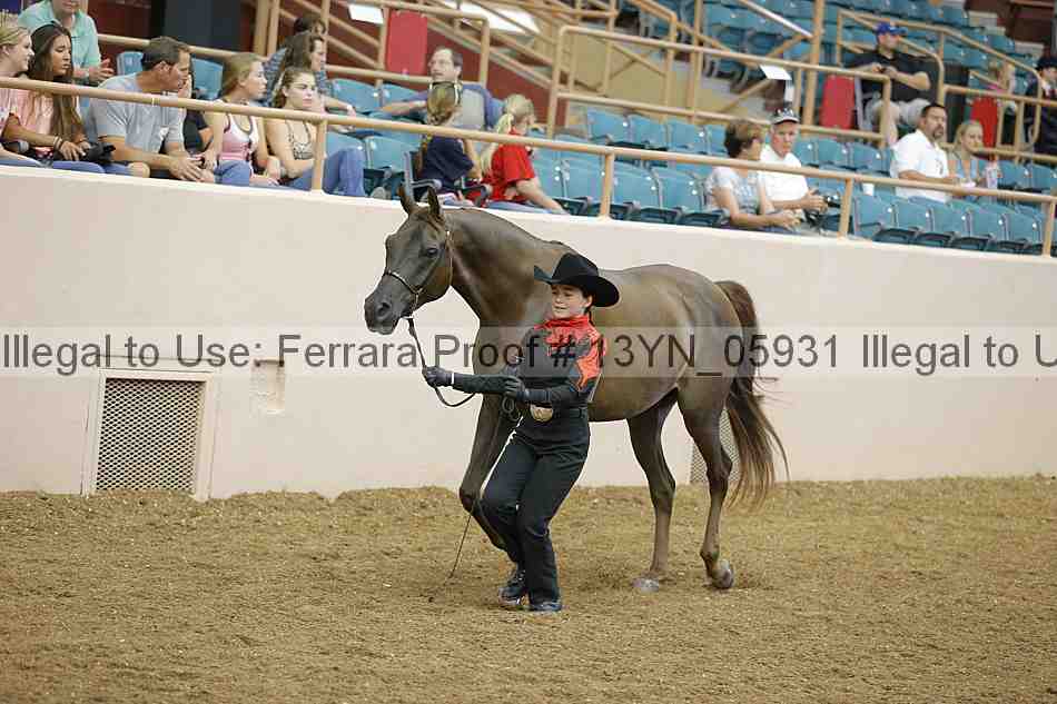 Proof Number 13yn_05931