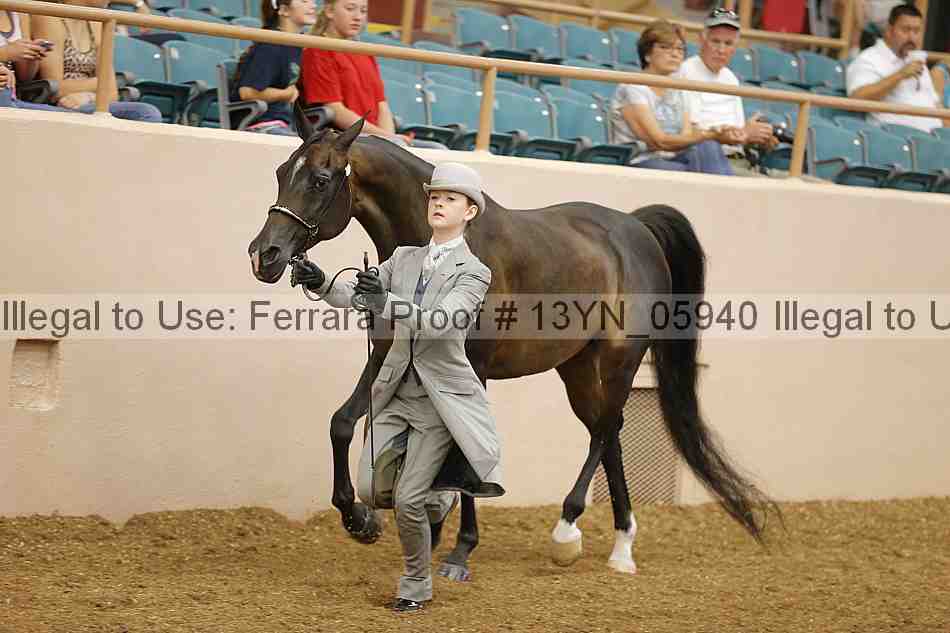 Proof Number 13yn_05940