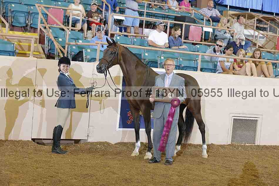 Proof Number 13yn_05955