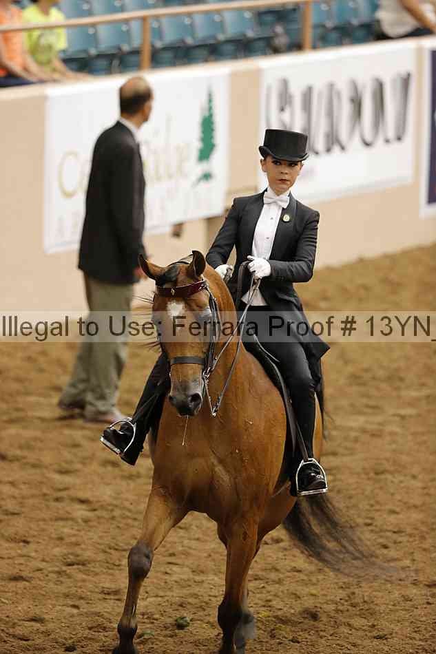 Proof Number 13yn_19533