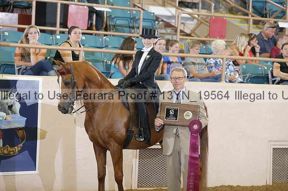 Proof Number 13yn_19564
