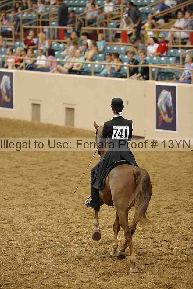 Proof Number 13yn_01262