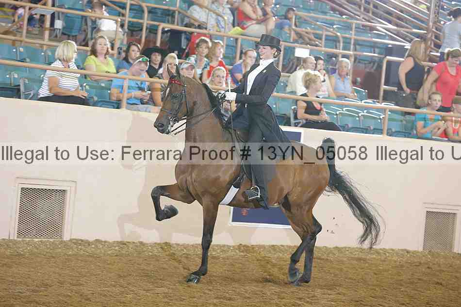 Proof Number 13yn_05058