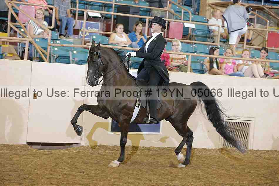 Proof Number 13yn_05066