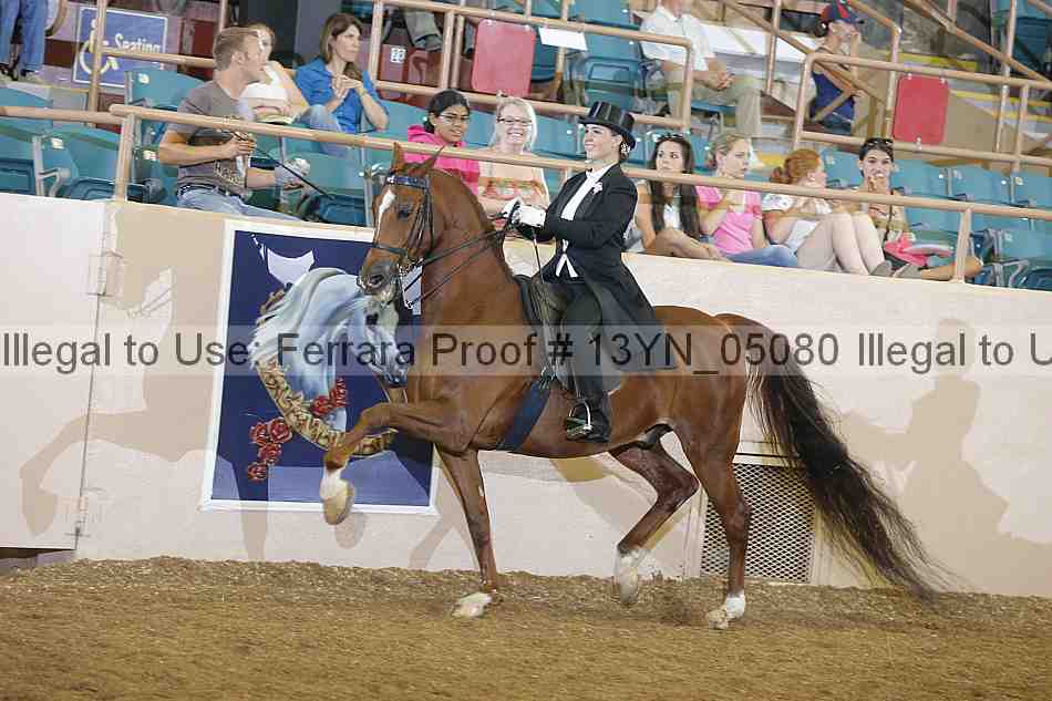 Proof Number 13yn_05080