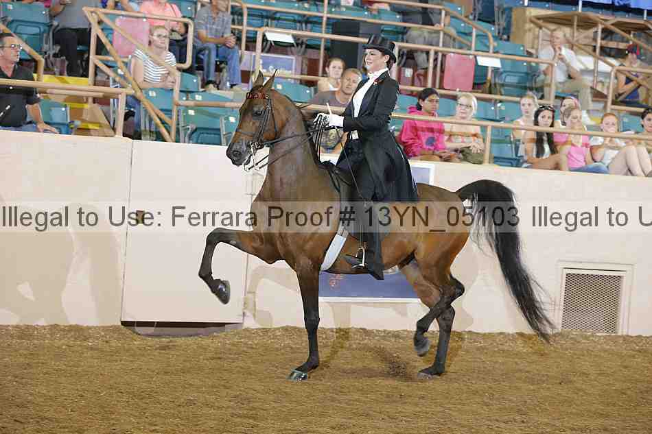 Proof Number 13yn_05103