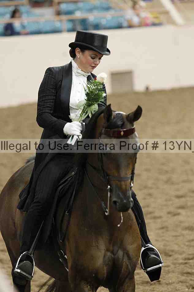 Proof Number 13yn_05145