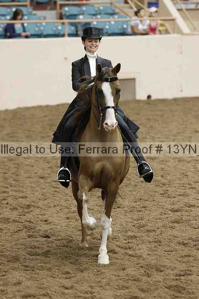 Proof Number 13yn_05242