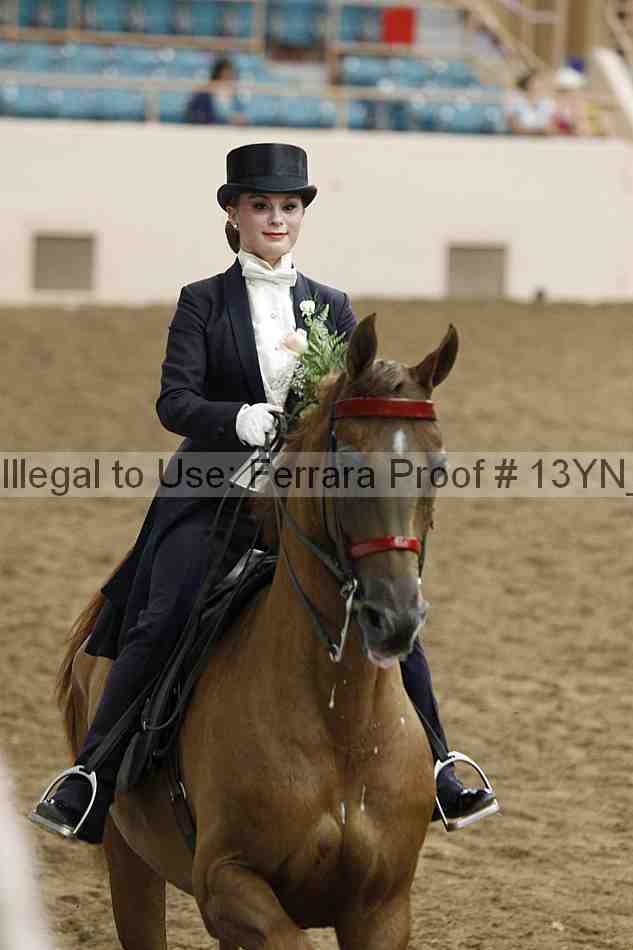 Proof Number 13yn_05259