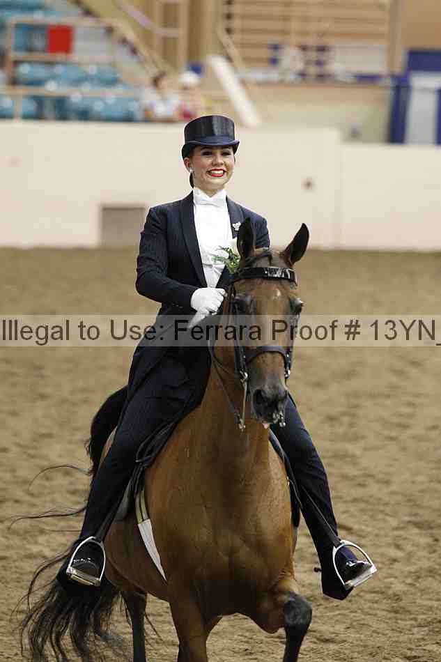 Proof Number 13yn_05269