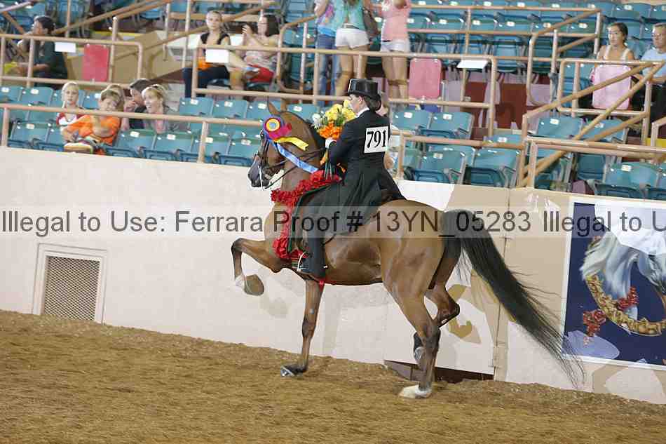Proof Number 13yn_05283