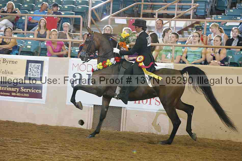 Proof Number 13yn_05290