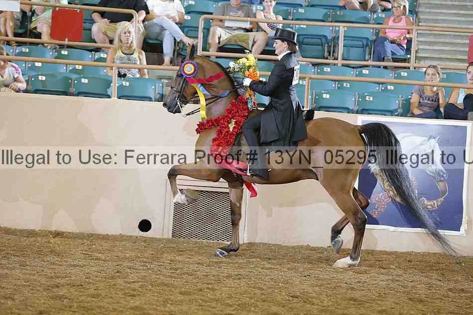 Proof Number 13yn_05295