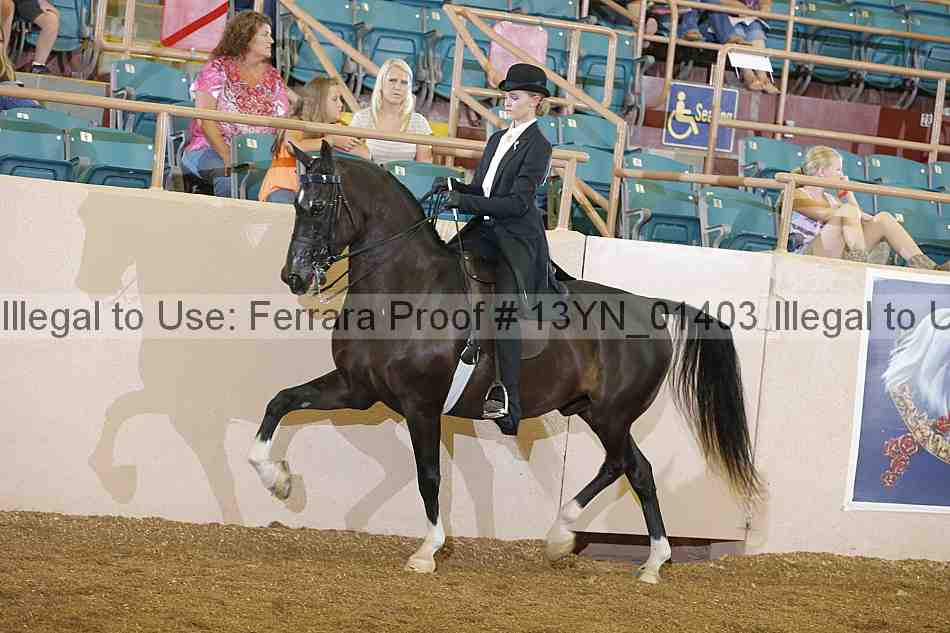 Proof Number 13yn_01403