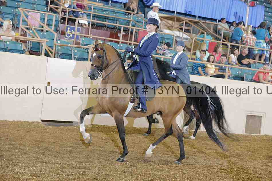 Proof Number 13yn_01404