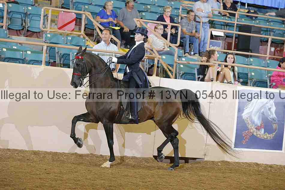 Proof Number 13yn_05405