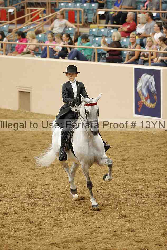Proof Number 13yn_05410
