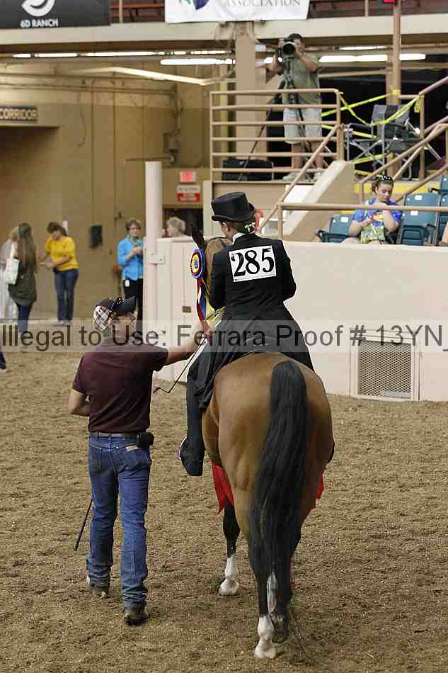 Proof Number 13yn_05552