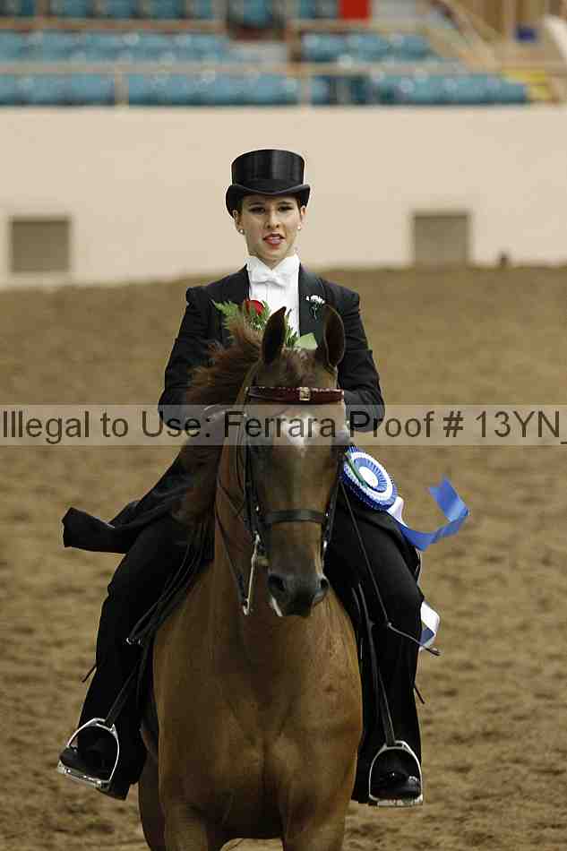 Proof Number 13yn_05570