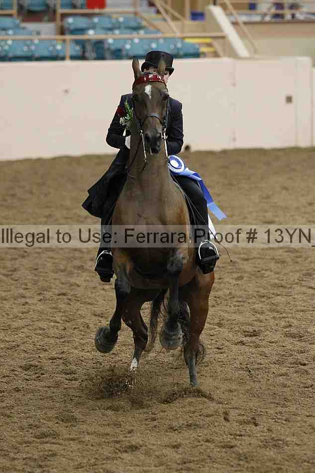 Proof Number 13yn_05580