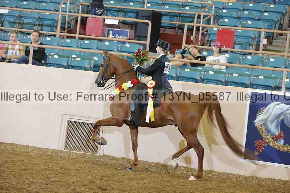 Proof Number 13yn_05587