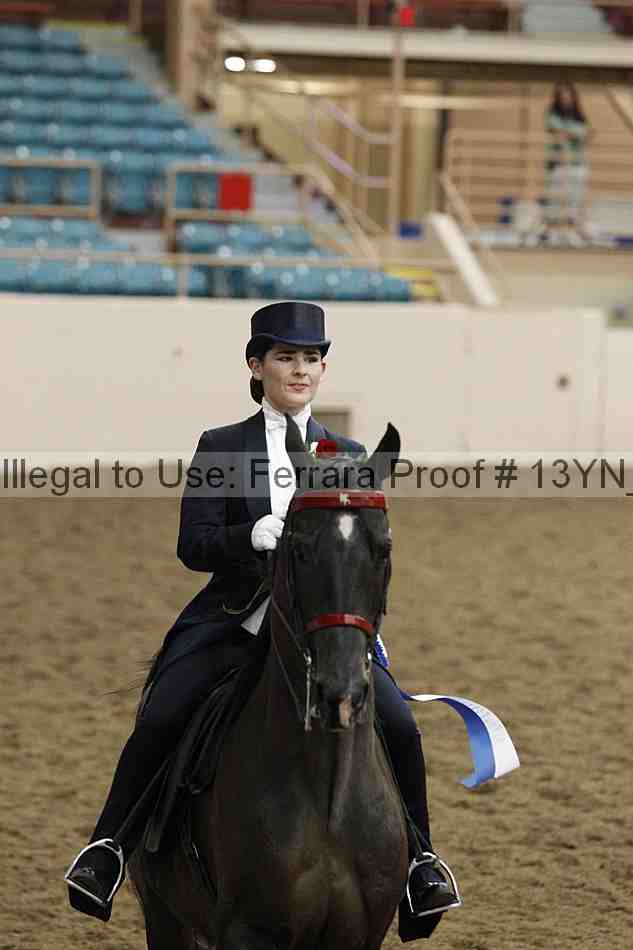 Proof Number 13yn_05591