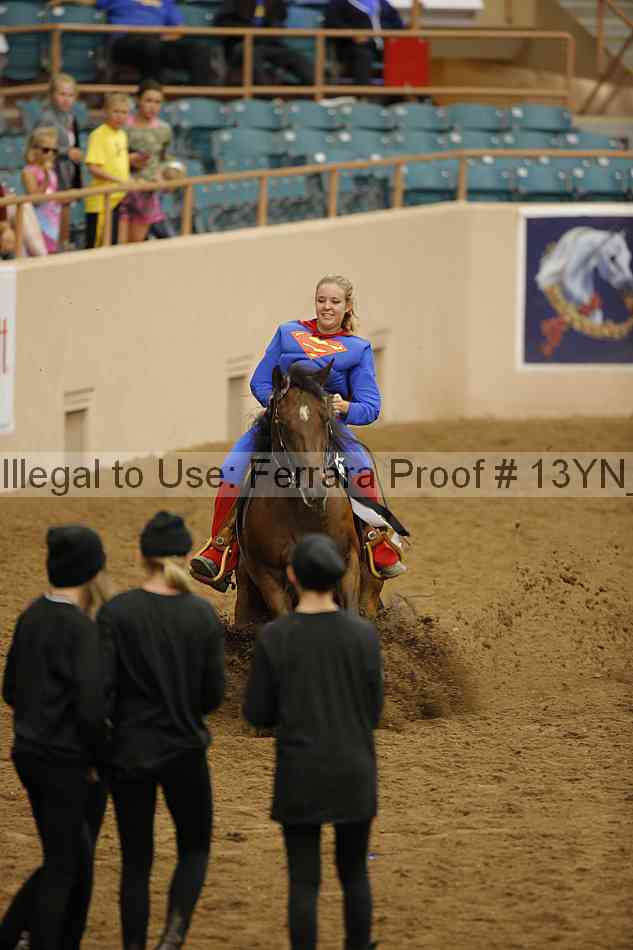 Proof Number 13yn_24393