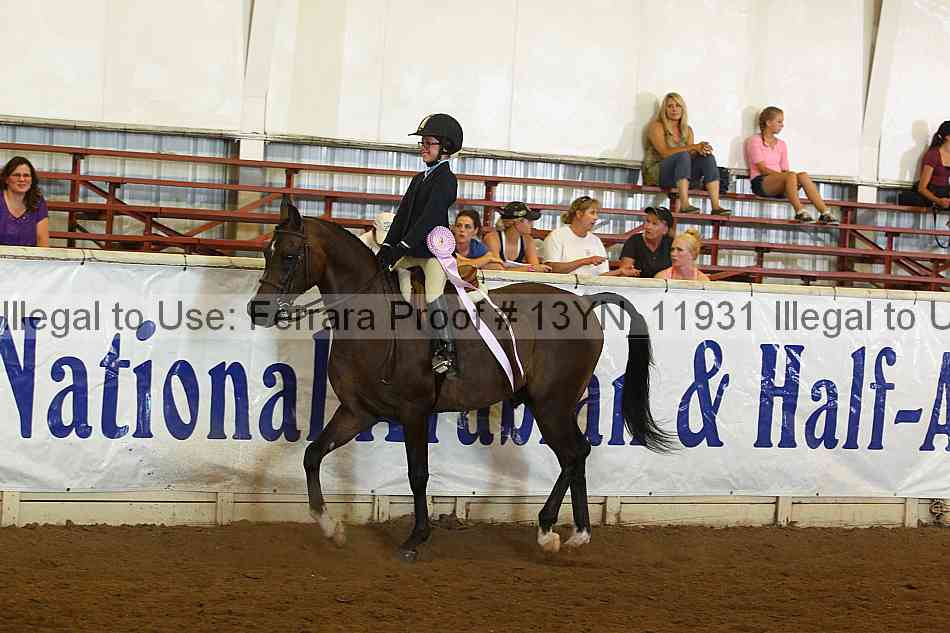 Proof Number 13yn_11931