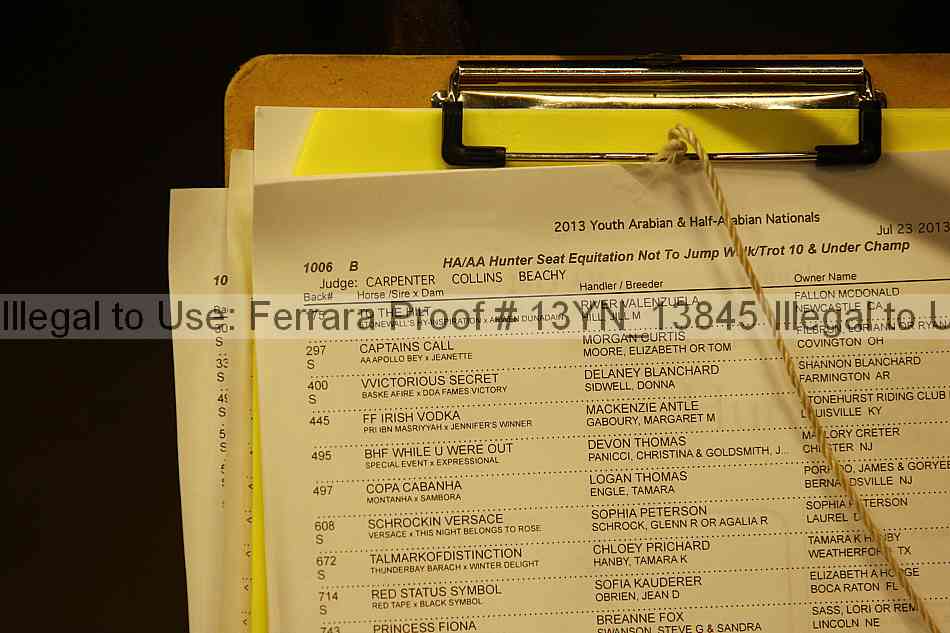 Proof Number 13yn_13845