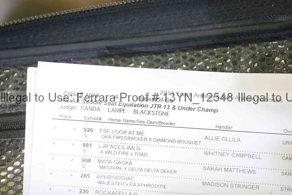 Proof Number 13yn_12548