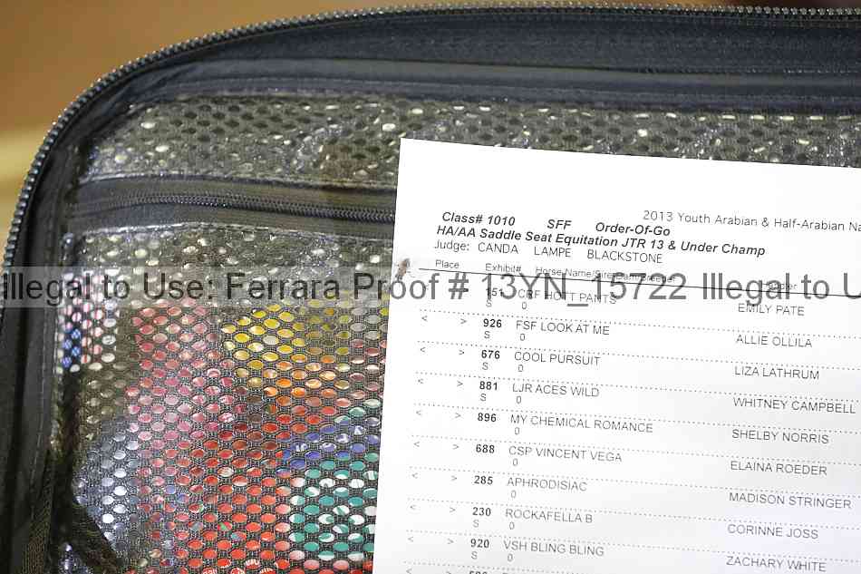 Proof Number 13yn_15722