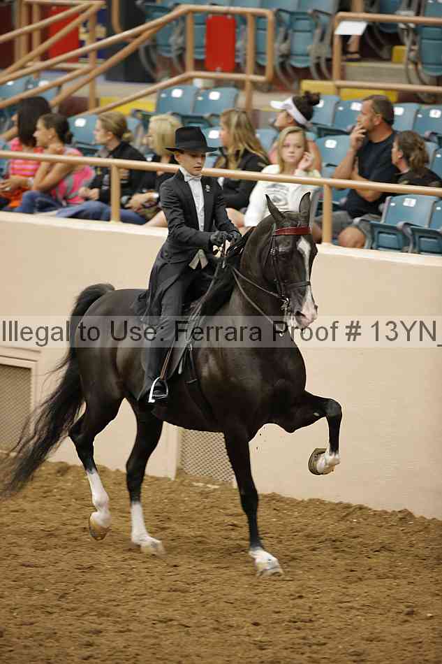 Proof Number 13yn_15763