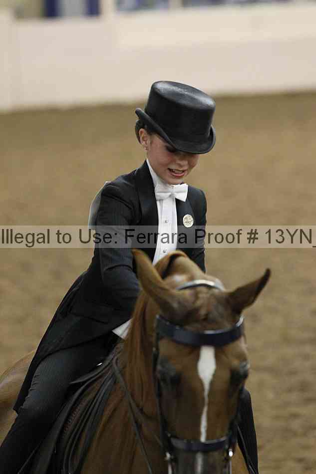 Proof Number 13yn_15805