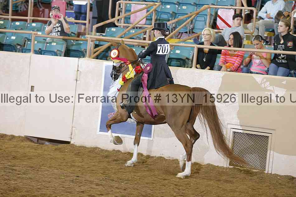 Proof Number 13yn_15926