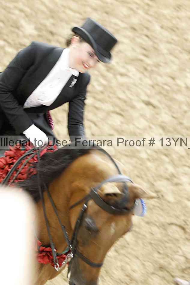 Proof Number 13yn_15946