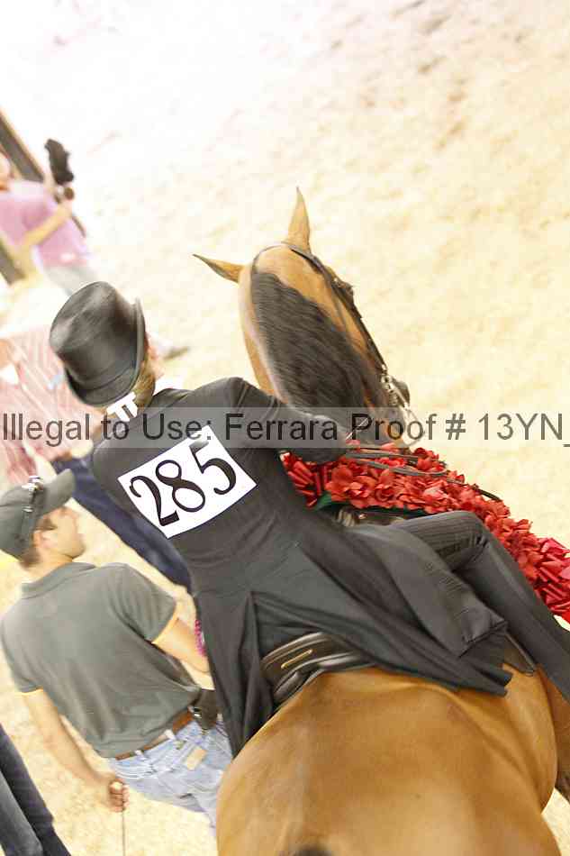 Proof Number 13yn_15951