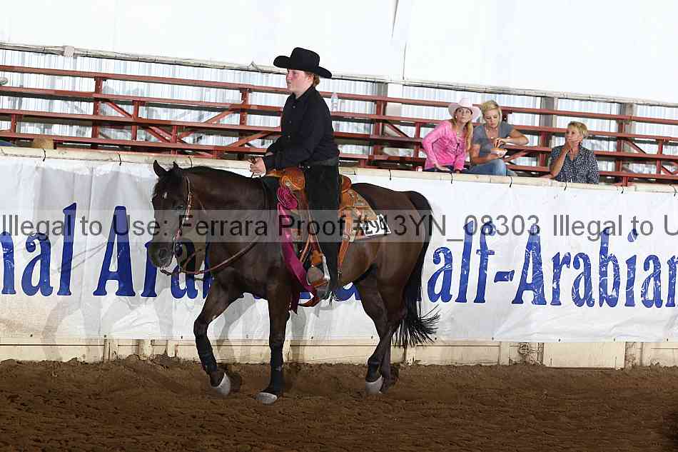 Proof Number 13yn_08303