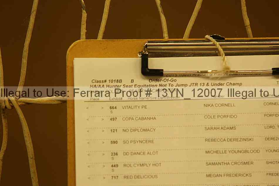 Proof Number 13yn_12007